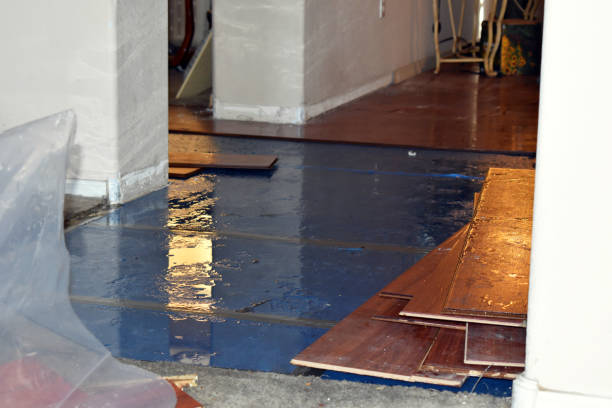 Professional Burst Pipe Cleanup technician working in Lamar, TX